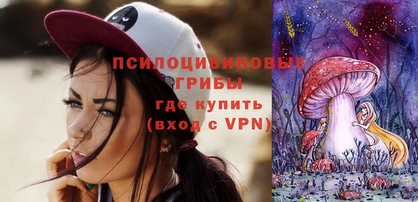 2c-b Липки
