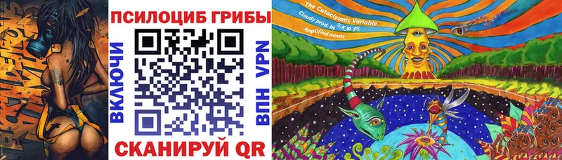 blacksprut tor  Отрадный  Псилоцибиновые грибы Cubensis 