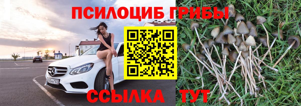 Псилоцибиновые грибы MAGIC MUSHROOMS Отрадный