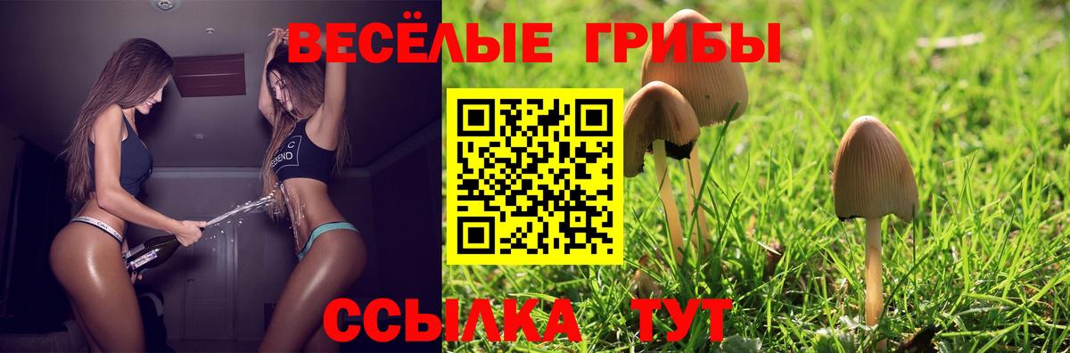 Псилоцибиновые грибы MAGIC MUSHROOMS  Псилоцибиновые грибы Magic Shrooms  Отрадный  Вход с VPN 